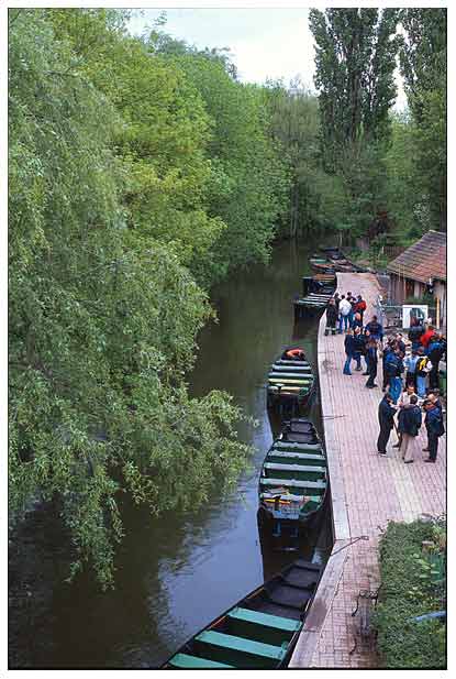 horsboats