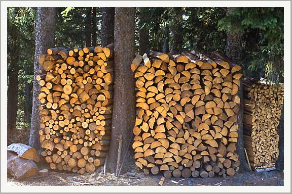 logs