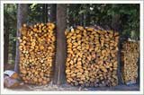 logs